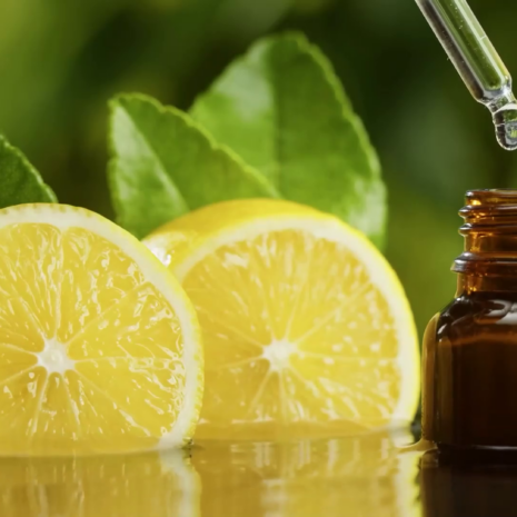 vlcsnap-2023-11-28-16h25m12s985 vlcsnap-2023-11-28-16h25m12s985