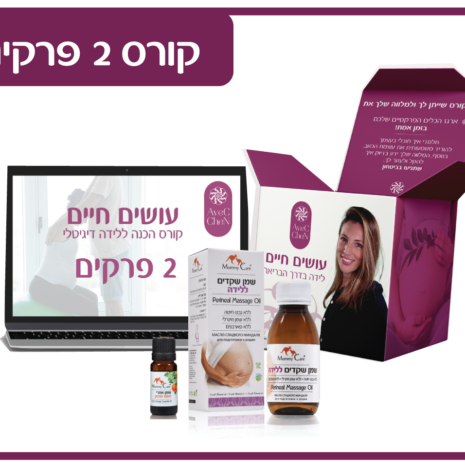 מאמיקר 2 מאמיקר 2