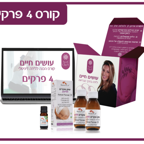 מאמיקר 4 מאמיקר 4